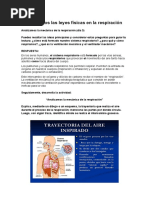 Descubrimos Las Leyes Físicas en La Respiración