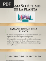 Tamaño Óptimo de La Planta