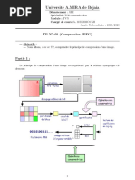 TP1 TVN 2019 PDF