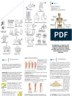 Folleto Fracturas PDF