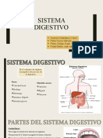 ABP Digestivo