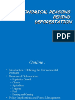 Deforestation PPT Sample