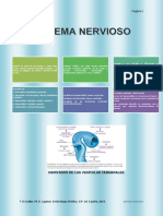 Sistema Nervioso