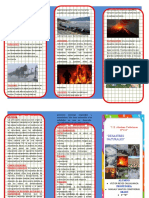 Trptico de Desastres Naturales - Victor Reyes Callhuanca