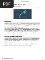 Nerve Supply To The Upper Limb: Laura Jayne Watson November 13, 2015