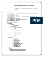 Informe de Harina de Trigo