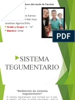 Sistema Tegumentario