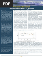 Oceanacidification 2