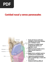 Anat 2 PDF