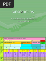 Mesociclos 1