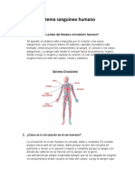 Sistema Sanguineo Humano