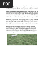 Factores Fisiológicos Que Influyen en La Producción de Las Pasturas