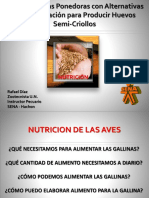 Gallinas 4 Nutricion