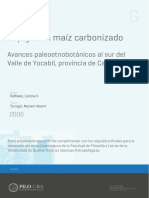 Espigas de Maiz Carbonizado PDF