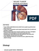 Wilms Tumor (Nefroblastoma)