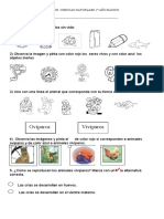 Evaluacion Seres Vivos y No Vivos