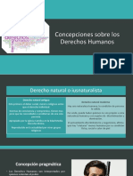 Concepciones Sobre Los Derechos Humanos - 17 de Agosto