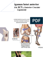 Cedera Ligamen Lutut Anterior Atau Cedera ACL