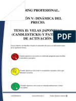 Trading Profesional Leccion V Tema Ii