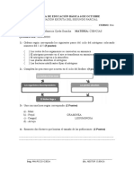 Ciencias Naturales 8vo, 9no y 10mo de Educacion Basica 2do Parcial