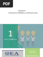 Normativa OEA PDF