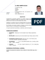 Curriculum Vitae - Axel Joel Huerta Solis