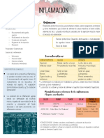 Inflamación y Reparación - Porth y Stevens