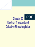 20 Electron Transport