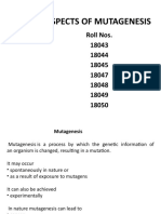 Chemical Aspects of Mutagenesis: Roll Nos. 18043 18044 18045 18047 18048 18049 18050