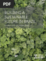 Building A Sustainable Future in Brazil: Environment, Development, and Climate Change