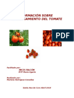 Formación Sobre Procesamiento de Tomates