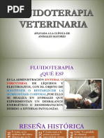 Fluidoterapia Veterinaria