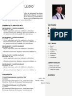 83 Curriculum Vitae Laboral