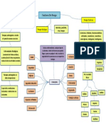 Mapa Conceptual Factores de Riesgo