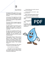 El Agua Es Un Líquido Vital para La Existencia de Muchos Seres Vivos