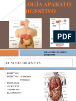 Fisiologia Digestiva 7