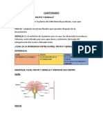 Cuestionario de Farmacobotanica