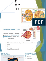 Sindrome Nefri y Nefro Final