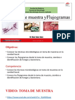 Flujogramas I Odonto