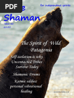 Indie Shaman - Issue 45