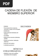 Cadena Flexión