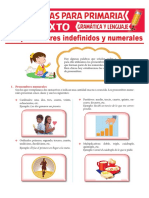 Pronombres Indefinidos y Numerales