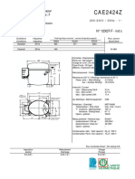 Cae2424z 123QT F