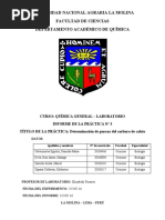 Informe Qimica UNALM