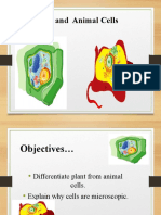 Differentiate Plant Cell From Animal Cell. Salvalion Report