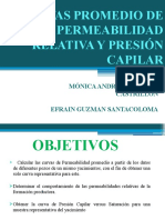 Permeabilidad Relativa