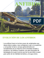 ANFIBIOS