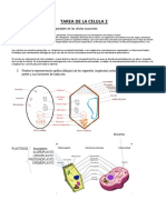 Tarea de La Celula 2