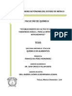 TESIS Tamarindo Completa PDF