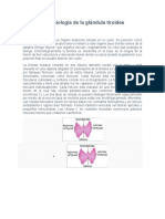 Anatomía y Fisiología de La Glándula Tiroides